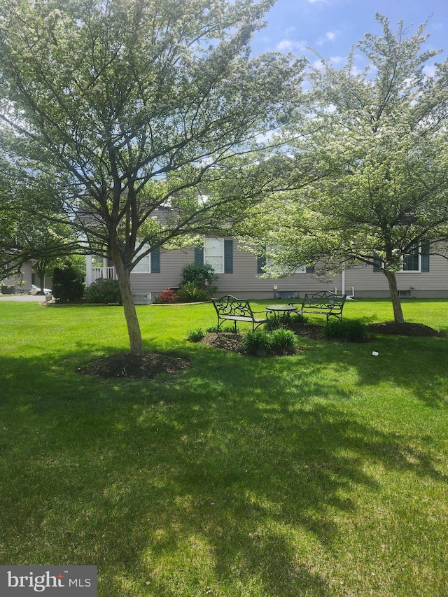 45 Freedom Ln, Bensalem, PA 19020 - view of green lawn