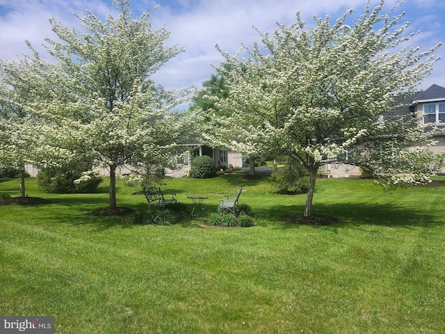 45 Freedom Ln, Bensalem, PA 19020 - view of green lawn