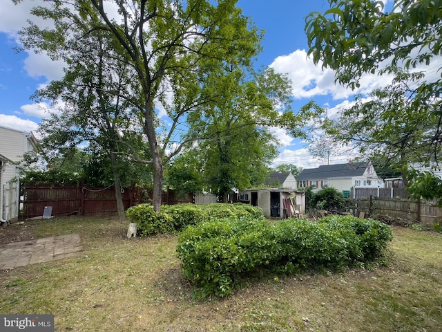1228 Pacific Ave, Bristol, PA 19007 - view of yard