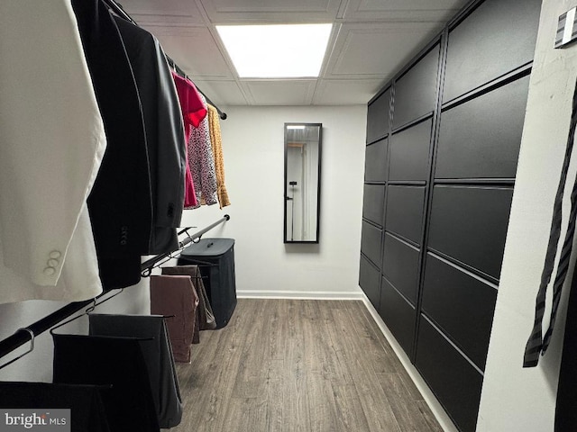 2622 Wagon Dr Unit 319, Alexandria, VA 22303 - walk in closet with wood finished floors