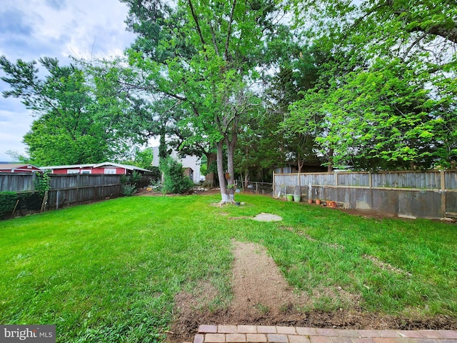 6029 Amherst Ave, Springfield, VA 22150 - view of yard