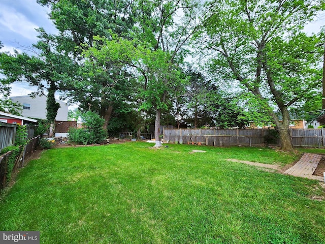 6029 Amherst Ave, Springfield, VA 22150 - view of yard