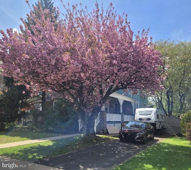 213 Walnut St, Jenkintown, PA 19046 - obstructed view of property with driveway and a front lawn
