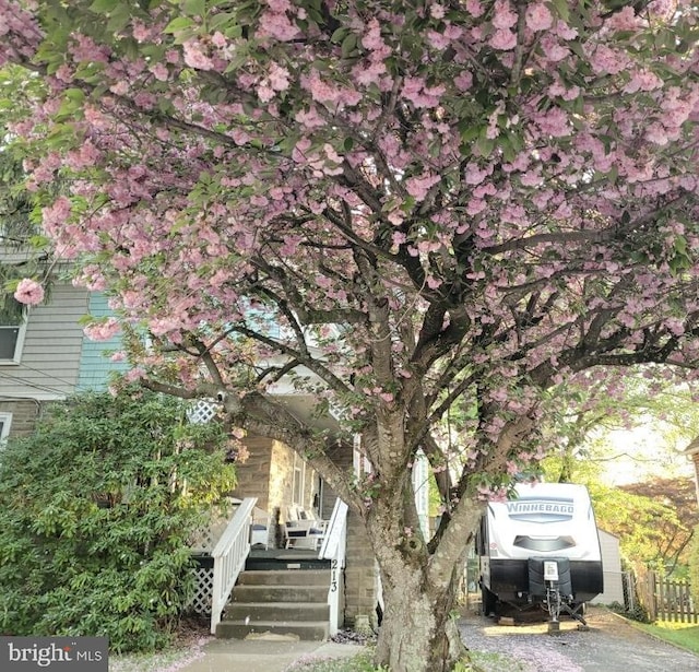 213 Walnut St, Jenkintown, PA 19046 - view of property's community