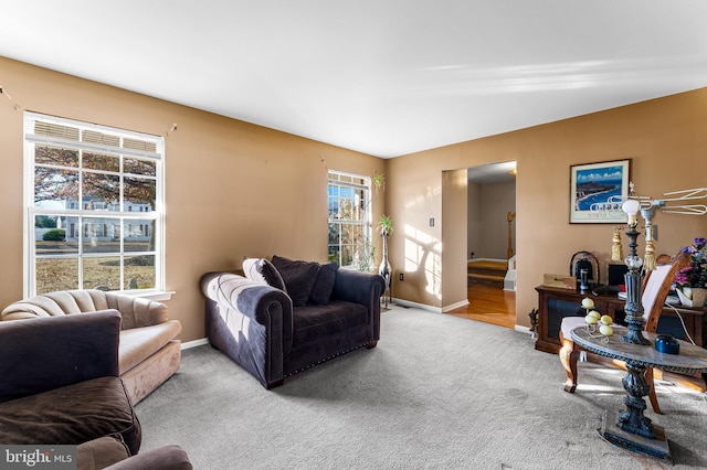 1 Winterberry Pl, Clayton, NJ 08312 - living room featuring carpet, healthy amount of natural light, and baseboards