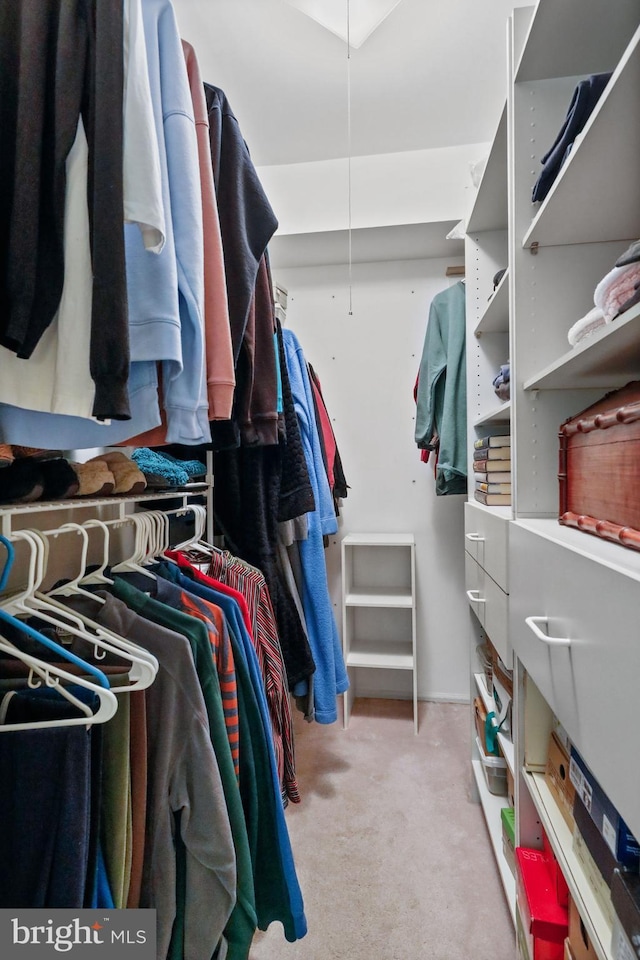 605A Ralston Dr Unit A, Mount Laurel, NJ 08054 - walk in closet with carpet