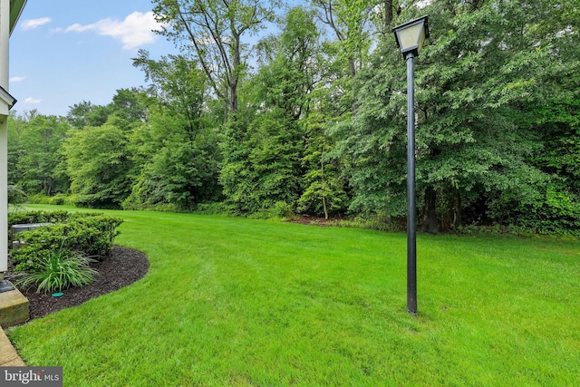 605A Ralston Dr Unit A, Mount Laurel, NJ 08054 - view of grassy yard