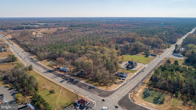 Ladysmith Road Lots 122 & 122A, Ruther Glen, VA 22546