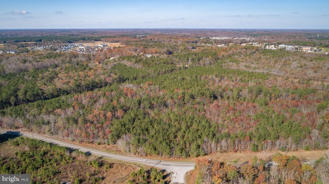 Ladysmith Road Lots 122 & 122A, Ruther Glen, VA 22546