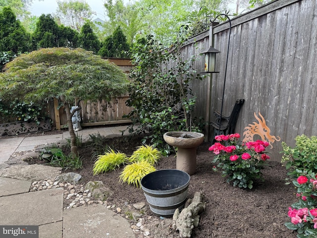 20 Willow St, Princeton, NJ 08540 - view of yard