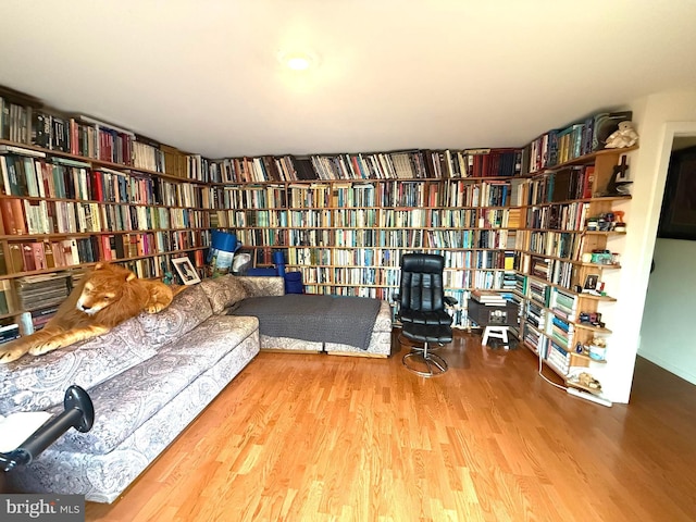 20 Willow St, Princeton, NJ 08540 - living area featuring wall of books and wood finished floors