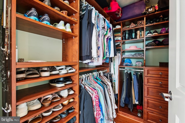 1830 Fountain Dr Unit 1107, Reston, VA 20190 - view of spacious closet