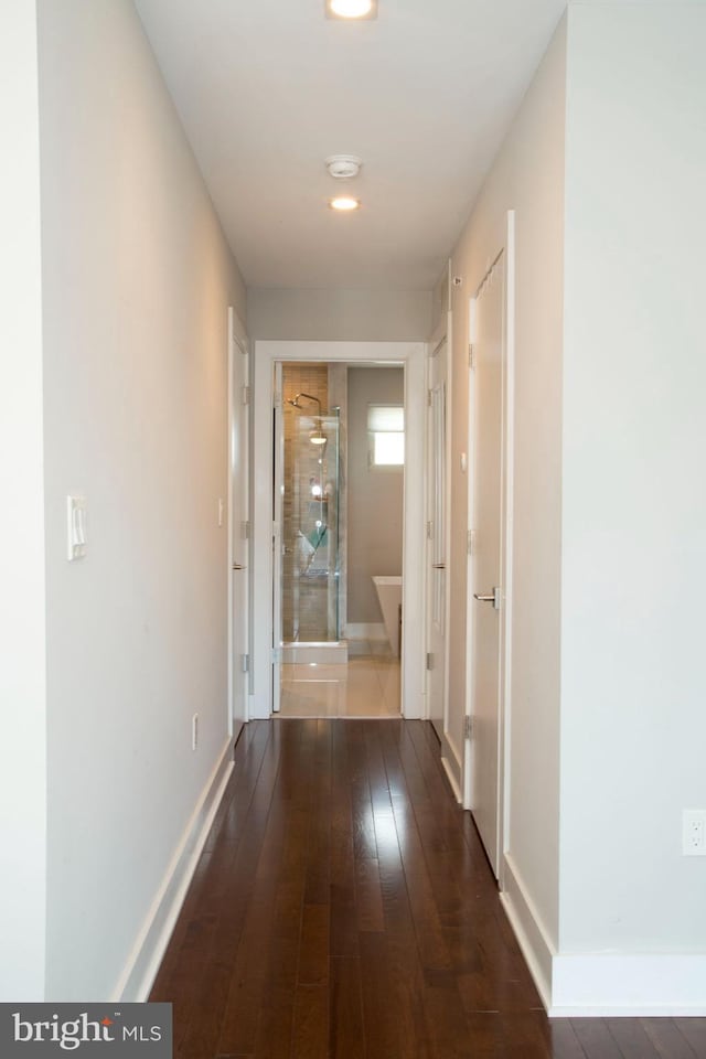 708 N 17th St, Philadelphia, PA 19130 - hallway with dark wood finished floors and baseboards