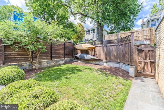 3805 Warren St NW, Washington, DC 20016 - view of yard with a gate