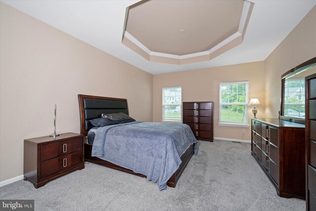 133 E General Grey Ct, Newark, DE 19702 - bedroom with a raised ceiling, light colored carpet, ornamental molding, and baseboards