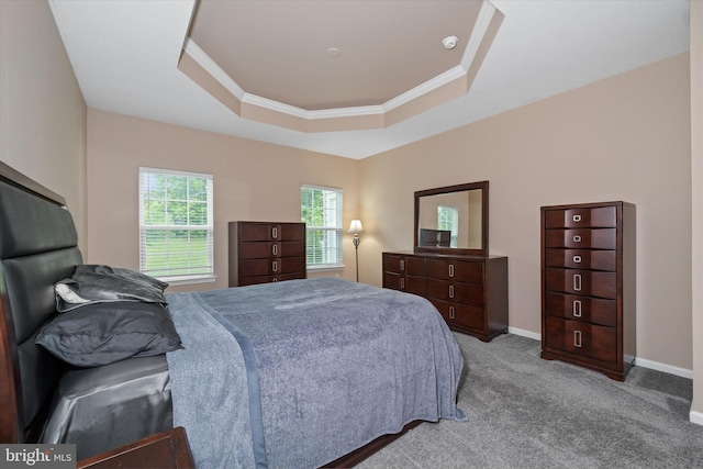 133 E General Grey Ct, Newark, DE 19702 - carpeted bedroom featuring crown molding, baseboards, and a raised ceiling