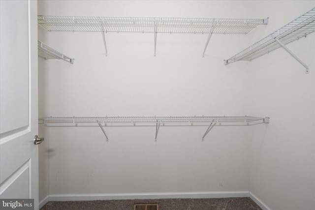 133 E General Grey Ct, Newark, DE 19702 - walk in closet with carpet floors