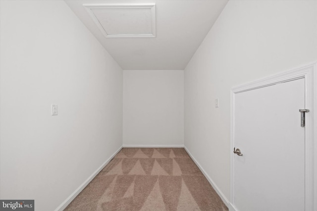 133 E General Grey Ct, Newark, DE 19702 - storage area featuring attic access