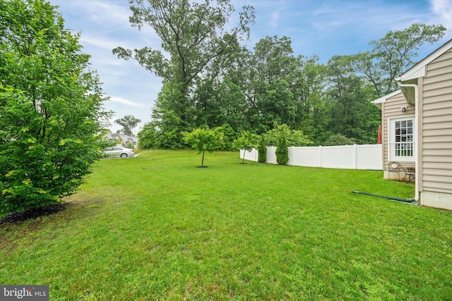 133 E General Grey Ct, Newark, DE 19702 - view of yard