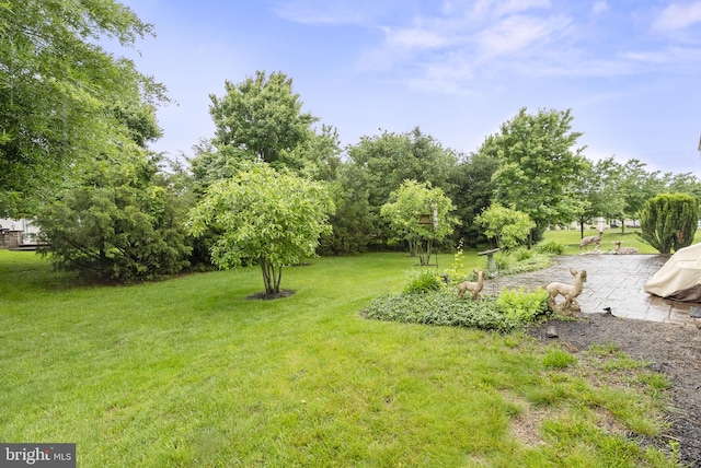 220 Wilshire Blvd, Woolwich Twp, NJ 08085 - view of grassy yard