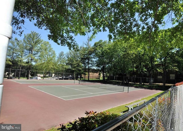 8485 Greenbelt Rd Unit 8485-T-1, Greenbelt, MD 20770 - view of tennis court with community basketball court and view of scattered trees