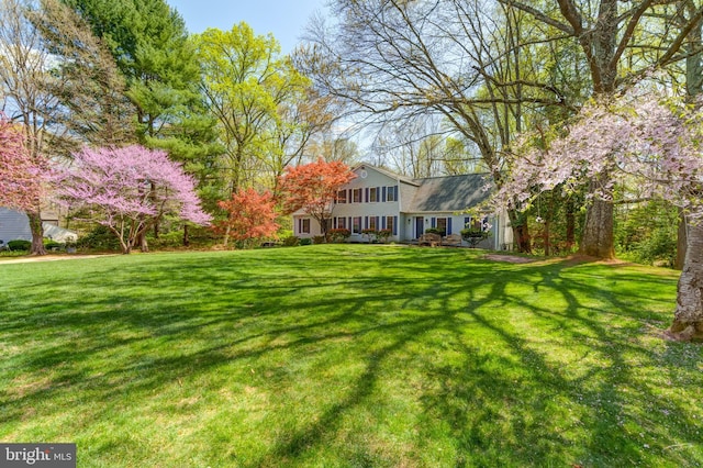 12209 Lake James Dr, Herndon, VA 20171 - view of green lawn