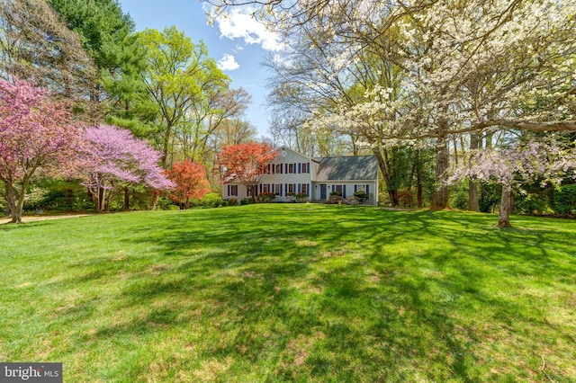 12209 Lake James Dr, Herndon, VA 20171 - view of grassy yard