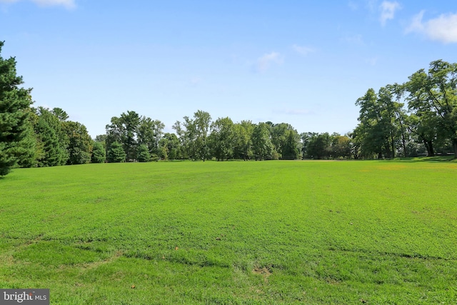 2106 Ross Rd, Silver Spring, MD 20910 - view of green lawn