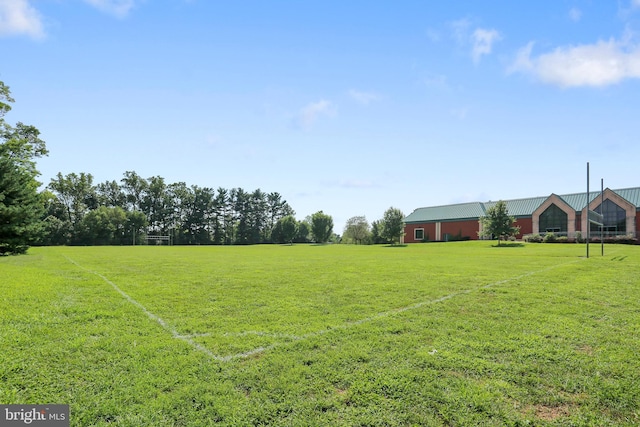 2106 Ross Rd, Silver Spring, MD 20910 - view of grassy yard
