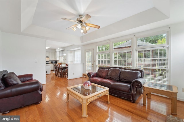 3663 Thomasson Crossing Dr, Triangle, VA 22172 - living room with a tray ceiling, light wood-style flooring, and plenty of natural light