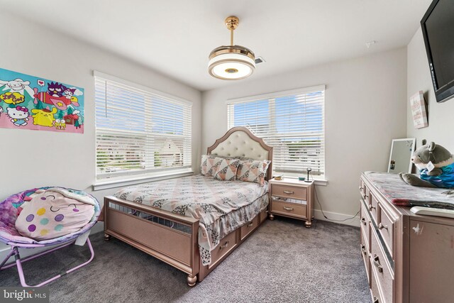 4495 Shakespeare Cir, White Plains, MD 20695 - bedroom with light carpet