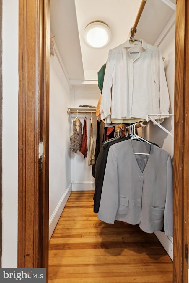 12 Sergeant St, Princeton, NJ 08540 - walk in closet featuring light wood-style flooring