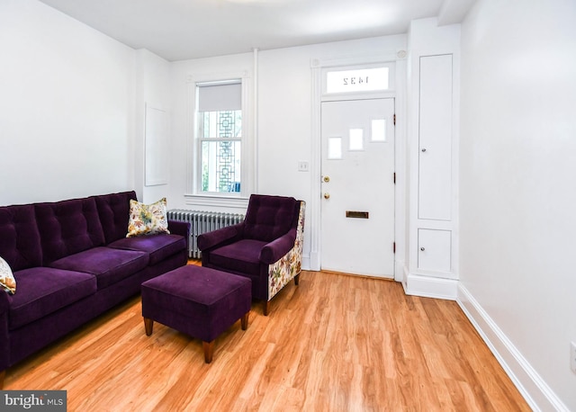 1432 C St SE, Washington, DC 20003 - living area with radiator and light wood finished floors