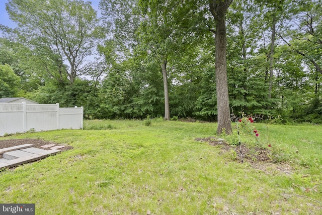583 Upland St, Pottstown, PA 19464 - view of yard