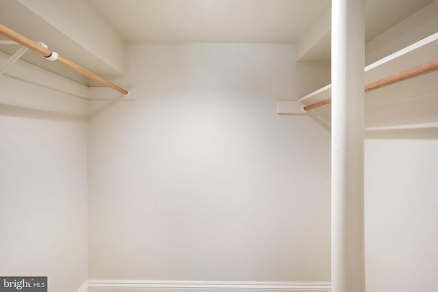 12213 Lake Potomac Ter, Potomac, MD 20854 - view of spacious closet