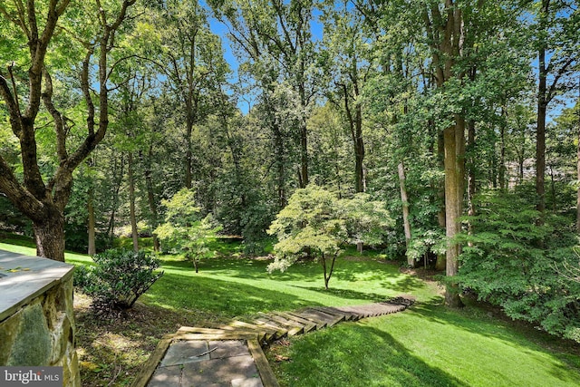 12213 Lake Potomac Ter, Potomac, MD 20854 - view of grassy yard