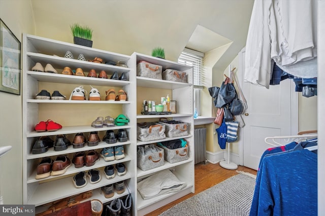 122 Waverly Rd, Wyncote, PA 19095 - walk in closet featuring wood finished floors and radiator