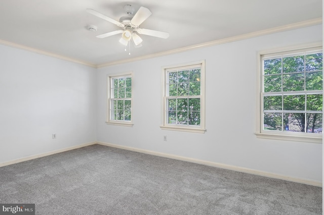 13423 Rippling Brook Dr, Silver Spring, MD 20906 - spare room featuring crown molding, carpet flooring, baseboards, and ceiling fan