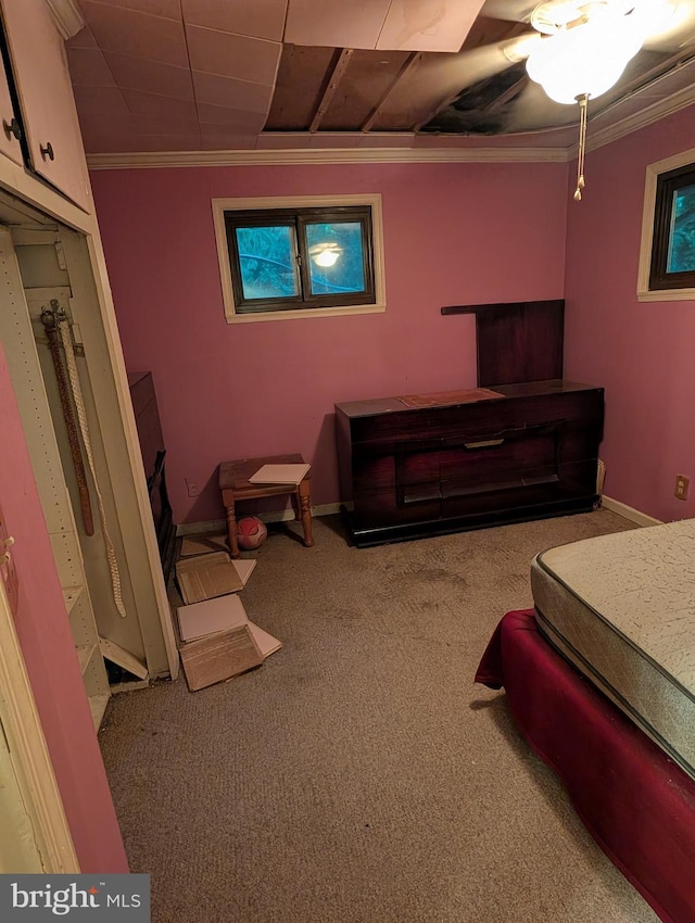 42 Beaver Ave, Enola, PA 17025 - carpeted bedroom featuring crown molding and baseboards