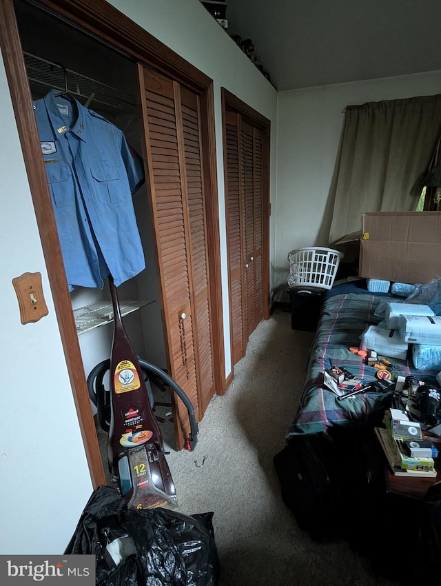42 Beaver Ave, Enola, PA 17025 - bedroom with carpet and two closets