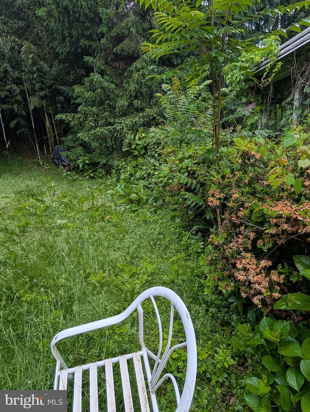 42 Beaver Ave, Enola, PA 17025 - view of yard