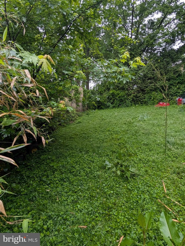 42 Beaver Ave, Enola, PA 17025 - view of yard