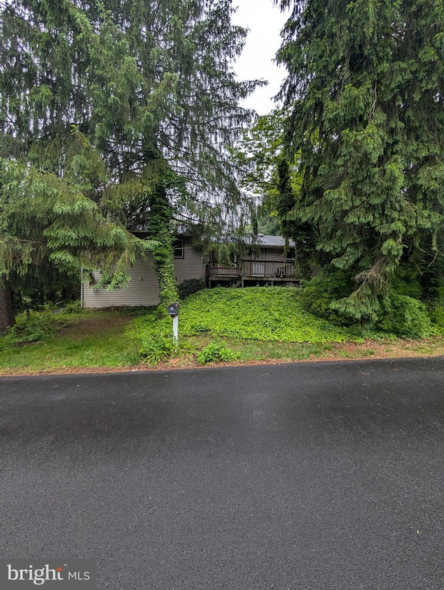 42 Beaver Ave, Enola, PA 17025 - view of obstructed view of property