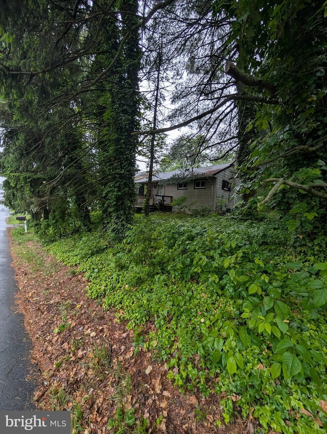 42 Beaver Ave, Enola, PA 17025 - view of yard