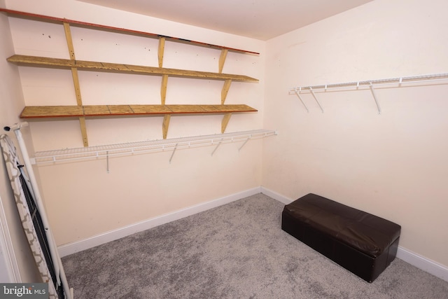 14714 Mount Calvert Rd, Upper Marlboro, MD 20772 - walk in closet featuring carpet flooring