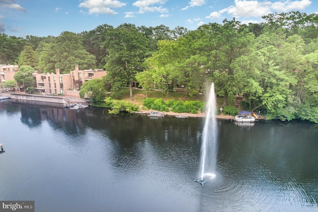 1690 Chimney House Rd, Reston, VA 20190 - water view