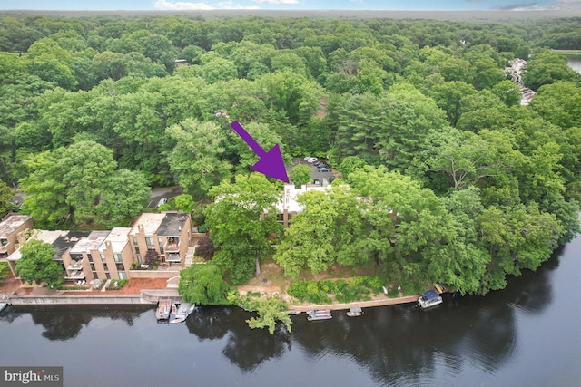 1690 Chimney House Rd, Reston, VA 20190 - bird's eye view of a forest and a nearby body of water