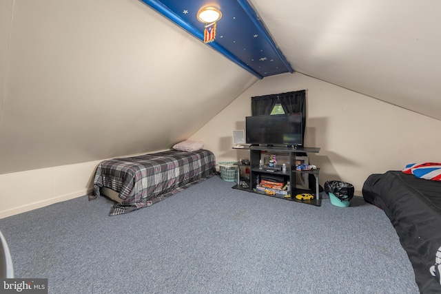 724 S W Ave, Vineland, NJ 08360 - bedroom with carpet flooring and lofted ceiling