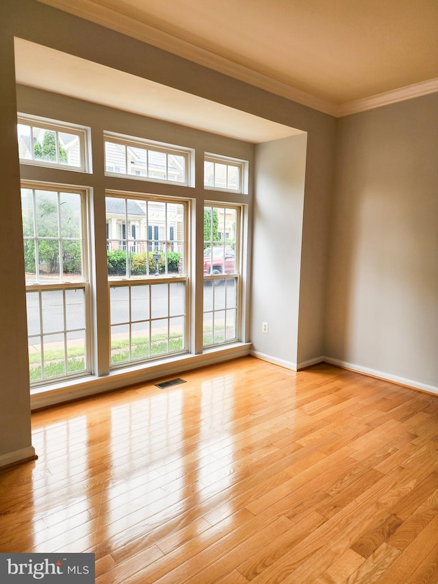 9120 Stonegarden Dr, Lorton, VA 22079 - empty room featuring ornamental molding, plenty of natural light, light wood-style floors, and baseboards