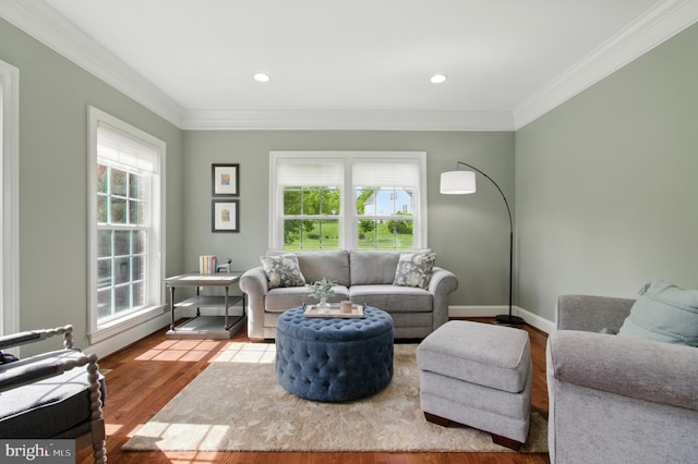 14894 Michele Dr, Glenelg, MD 21737 - living area featuring wood finished floors, ornamental molding, baseboards, and recessed lighting